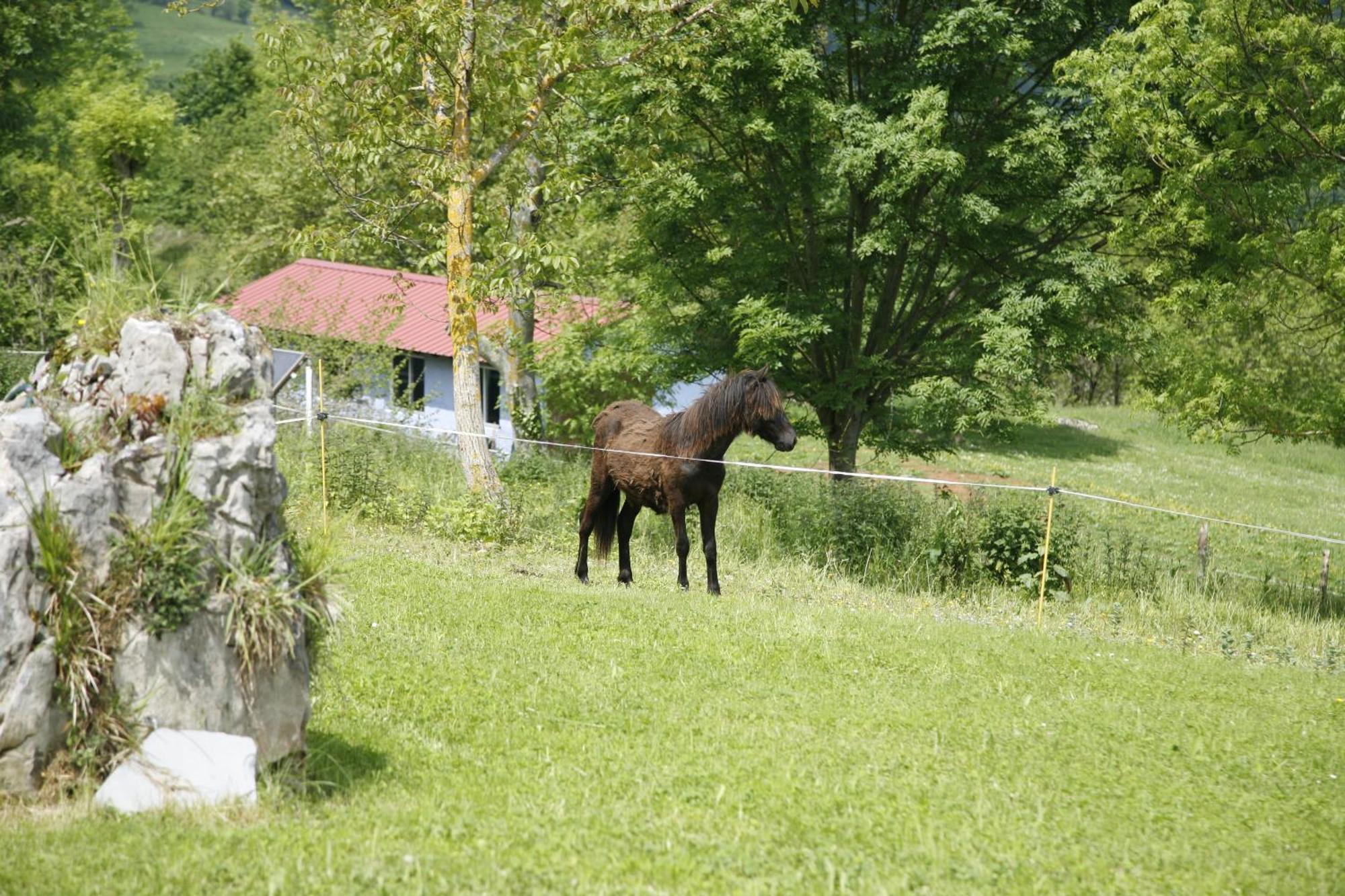 El Conventu Del Asturcon Guest House Lago  Luaran gambar