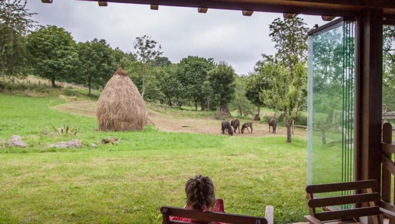 El Conventu Del Asturcon Guest House Lago  Luaran gambar